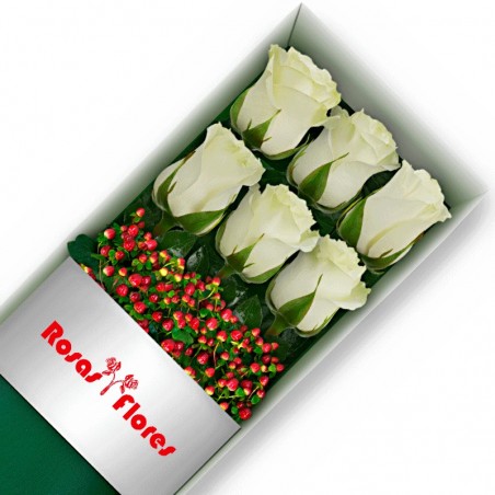 Caja de Rosas Blancas 6 Rosas
