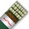 Caja de Rosas Blancas 18 Rosas