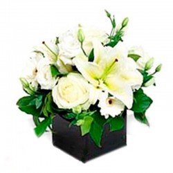 Mini Condolencias