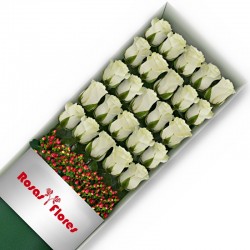 Caja de Rosas Blancas 24 Rosas