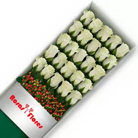 Caja de Rosas Blancas 25 Rosas
