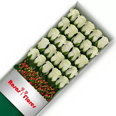 Caja de Rosas Blancas 25 Rosas