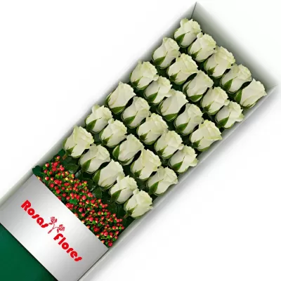 Caja de Rosas Blancas 30 Rosas