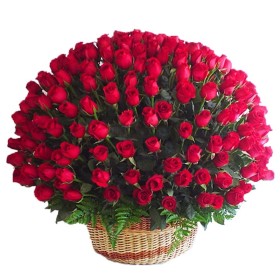 Cesta Gigante de 100 Rosas Rojas