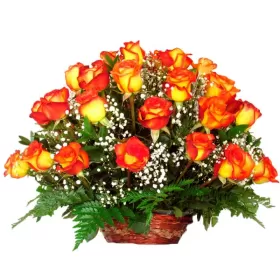 Cesta de 24 Rosas Circus