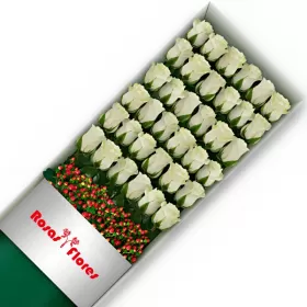Caja de Rosas Blancas 36 Rosas