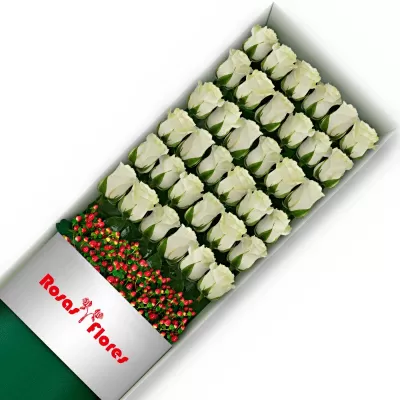 Caja de Rosas Blancas 36 Rosas