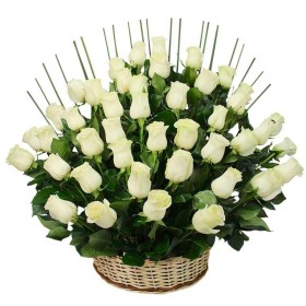 Cesta de Condolencia 50 Rosas Blancas