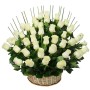 Cesta de Condolencia 50 Rosas Blancas