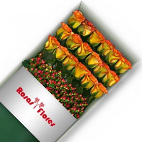Caja de Rosas Circus 18 Rosas