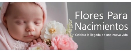 Flores para Nacimientos