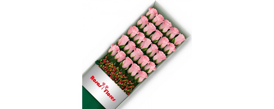 Cajas de Rosas Rosadas