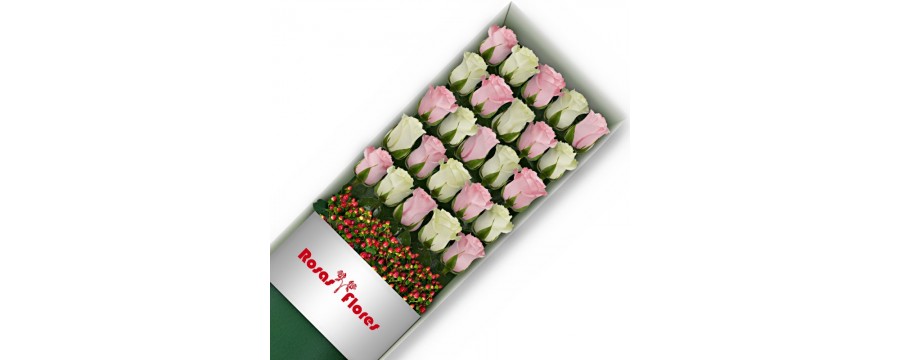 Cajas de Rosas Color Mix Rosado Blanco